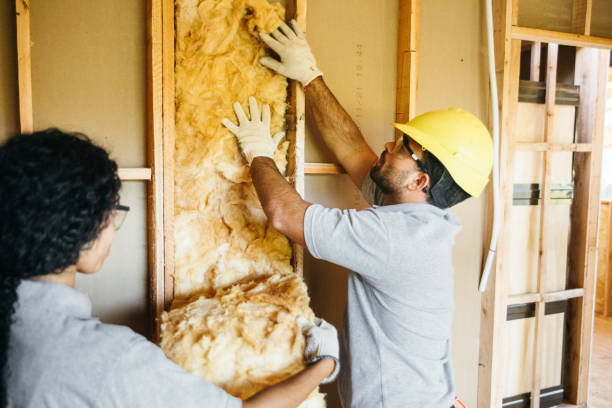 Reliable St Hedwig, TX Insulation Solutions